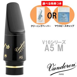 Henri Selmer Paris セルマー アルトサックスマウスピース S80 C* ワン
