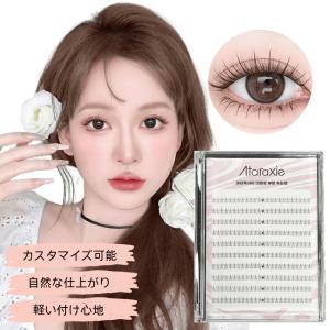 ドーリーウインク(DollyWink) 益若つばさ アイラッシュ No.14