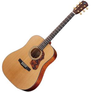 Morris Morris MD-502 Acoustic Guitar アコースティックギター
