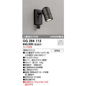 ODELIC（オーデリック） 屋外用スポットライト カメラ付 センサー付