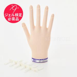 取り寄せ】STモデルハンド ネイルチップ（JNEC認定モデルハンド