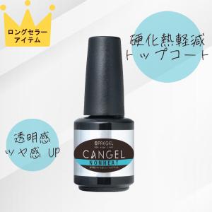 Raygel レイジェル トップジェル NEO / 25g : プロ用ヘアコスメnetsbee