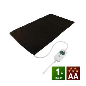 温蒸浴うるおいIII 中古 Bランク 1年保証 温熱治療器 フランス総合医療