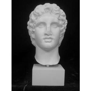 S−204 古代ヴィーナス首像（アバタのヴィーナス） : 石膏像ドット