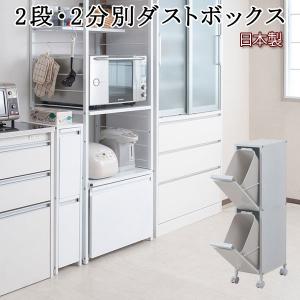 東谷 ゴミ箱 分別 ごみ箱 2段 スチール キャスター付き ロッカー風