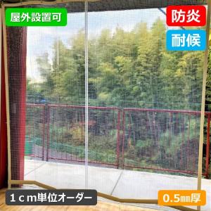 カーテン ビニールカーテン 屋外向け 糸入り 防炎 0.5mm厚 幅495