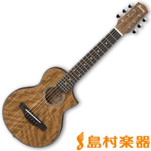 Ibanez（アイバニーズ） エレアコ 初心者セット PC12MHCE/PF12MHCE 17