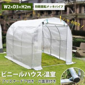 ビニールハウス 温室 大型 温室ハウス 強化フレーム 両面出入り口