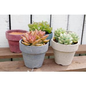 ハンドメイド 多肉植物寄せ植えに リメイク缶S-02 アーミーグリーン