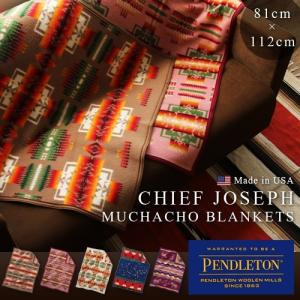 HYSTERIC GLAMOUR（ヒステリックグラマー） ブランケット PENDLETON