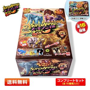 コンプリートセット】海の恐竜＆Co.(アンドコ) 全16種セット