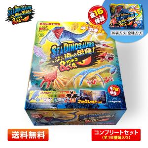 1BOX】シーモンスターズ＆co. ミニ アンドコ mini 12パックセット