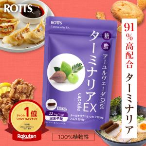 2袋セット 】 ターミナリア ダブル 120粒 協和食研 ［機能性表示食品
