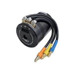 OPTION No.1 OPTION No.1(オプションNo.1)/BLM-540175/Surprise