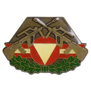 ドイツ軍放出品 ピンバッジ NVA 東ドイツ 空軍 military 記章 DDR 国家
