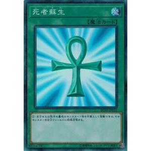 コナミデジタルエンタテインメント 遊戯王 中古ランクB(良い) 306-056