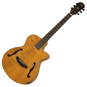 調整済 Aria アリア FEB-F2/FL アコースティックベース エレアコベース