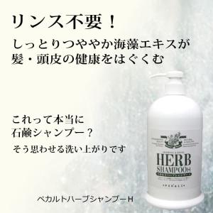 無添加 石鹸シャンプー ペカルトハーブシャンプーH 1000ml リンス不要