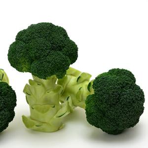 SK9-099 ブロッコリー種子 ペレット5000粒 【野菜種子】【サカタのタネ