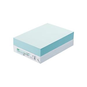 大塚商会 TANOSEE αエコカラーペーパーII A4 ライトブルー 1