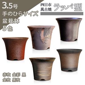 Kaiju Plant 萬古焼 3.5号 陶器鉢 ラッパ アガベ 多肉 塊根 用 1鉢