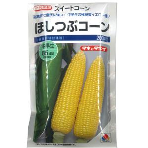 大人気！】野菜の種/種子 甘々娘・とうもろこし・トウモロコシ