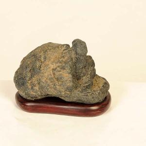 水石：泉州石 ツボ石 現品*資材 せんしゅう : 遊恵盆栽 Yahoo!店