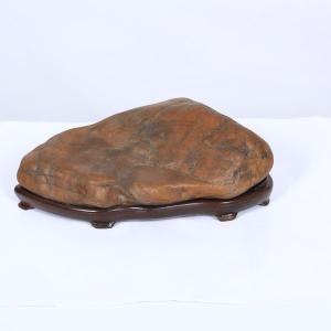 水石：泉州石 ツボ石 現品*資材 せんしゅう : 遊恵盆栽 Yahoo!店