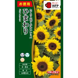 花種 NL300 矮性(低草丈)ひまわり スマイルラッシュ [FHM413]【タキイ