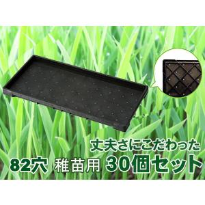 育苗 トレー トレイ 中苗用 育苗箱 水稲 1300穴 60×30×3cm 30個セット