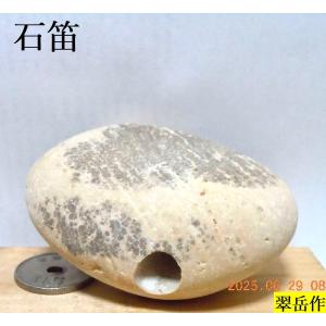 姫川薬石季節の山菜山菜苗の専門店 薬石苑 - Yahoo!ショッピング