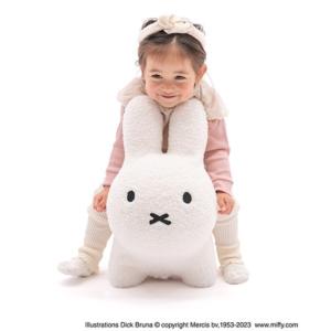 ペルソナ5 ミニクリアファイルコレクション 佐倉双葉 ナビ : クリノ