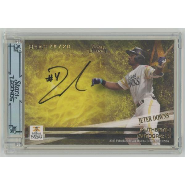 coletre_kpl171717151