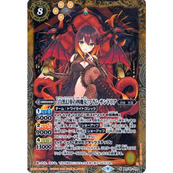 card-museum_bsc40-028-mr