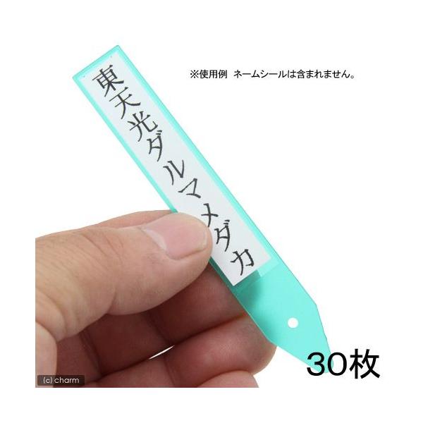 Leaf Corp メダカ用ネームプレート（グリーン） 30枚 : チャーム
