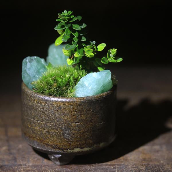 チャーム（charm） （山野草）苔盆栽 おまかせ山野草・鉱石 益子焼植え