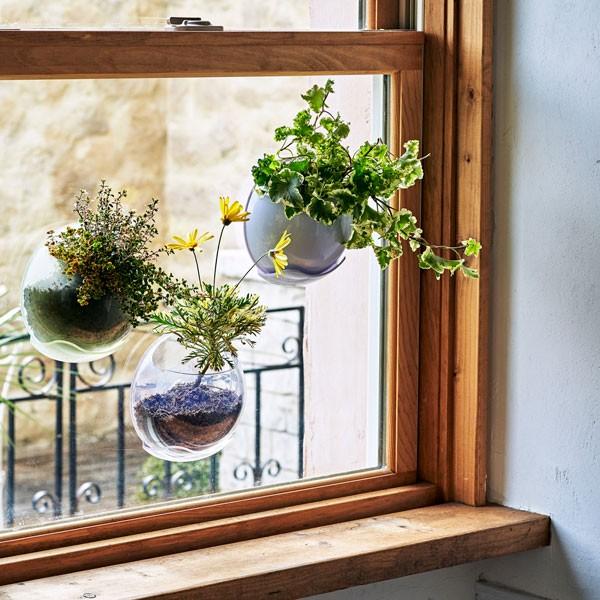 URBZ(アーブス) 壁に貼るプランター クリア/ホワイト/グリーン/ピンク