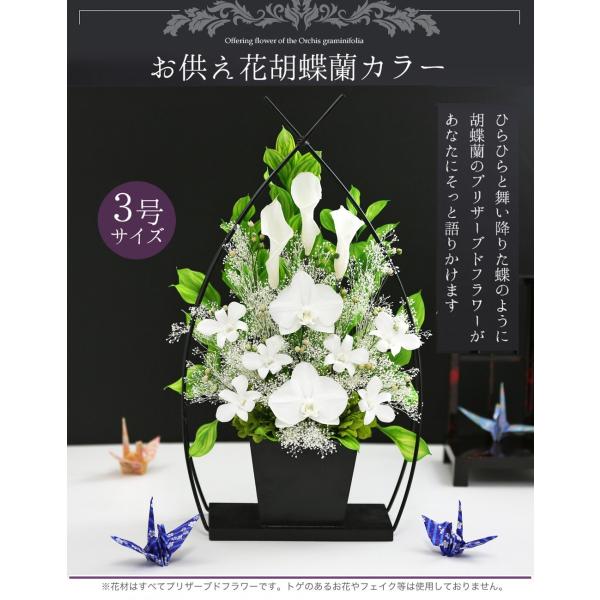 アートフォーシーズン プリザーブドフラワー 仏花 胡蝶蘭 カラー