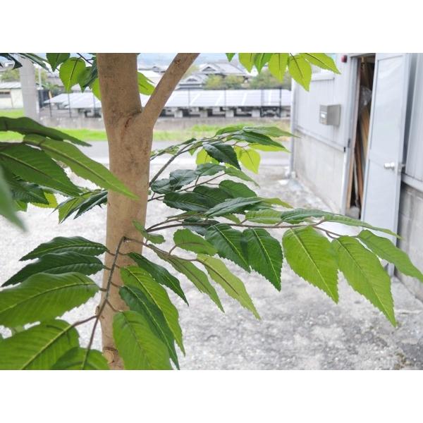 大型サイズ 自然な形 けやき の木 高さ360cm 鉢付き(造花 人工観葉植物