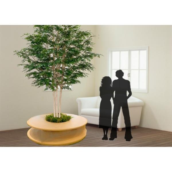 シマトネリコ 3m」の人気商品一覧 | 安い商品を通販サイトから探す