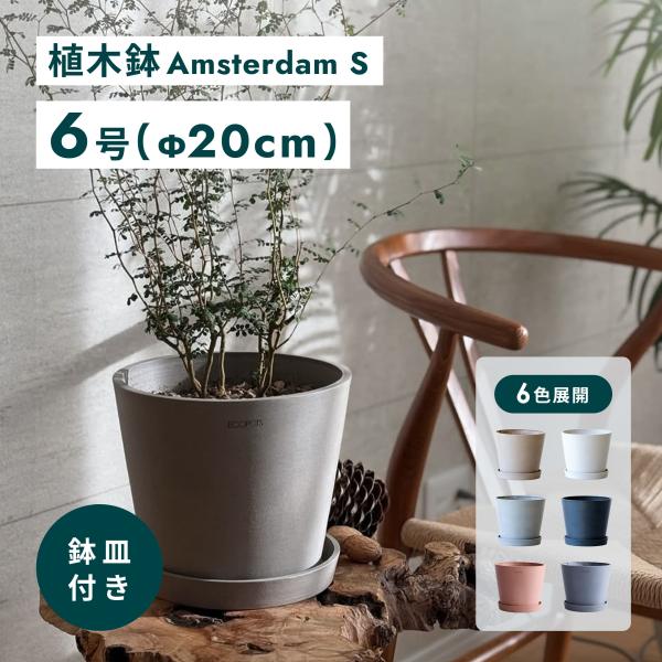 AND PLANTS（アンドプランツ） 植木鉢 鉢 ecopots Amsterdam 6号