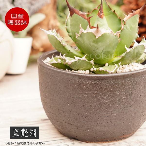 陶器鉢 植木鉢 5号 丸型 艶消し 黒 ブラック おしゃれ プランター 園芸