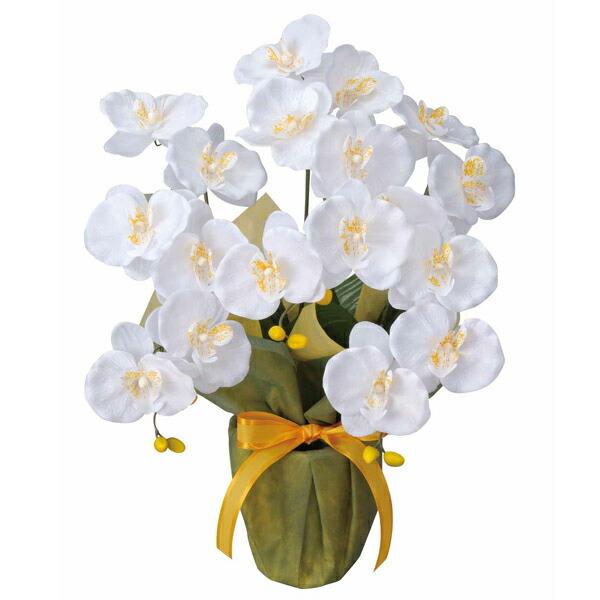 光触媒 胡蝶蘭」の人気商品一覧 | 安い商品を通販サイトから探す