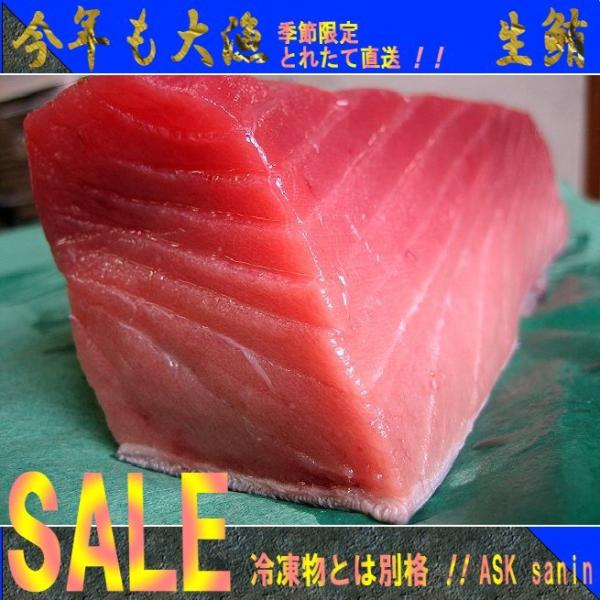 目利きが選び抜いた！！「中トロ1〜2片で500g」 鮪 マグロ まぐろ