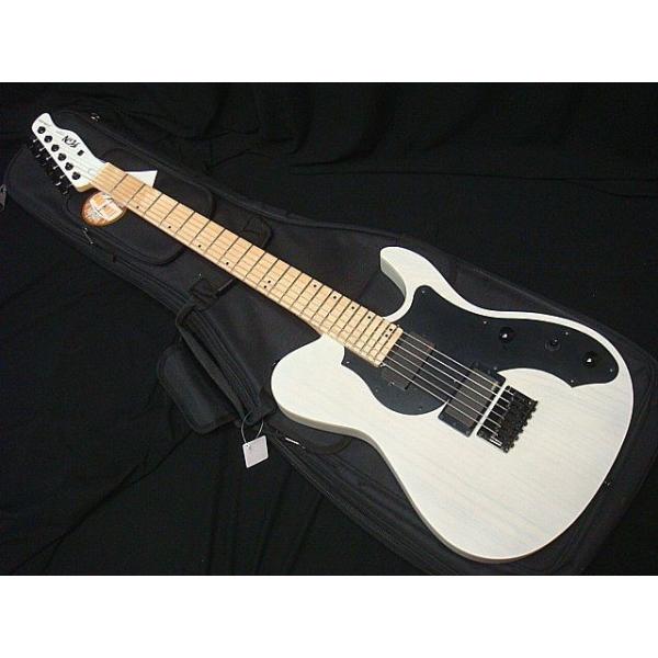 FUJIGEN（フジゲン） FGN FUJIGEN JIL-ASH-DE664-M TWF テレキャスター