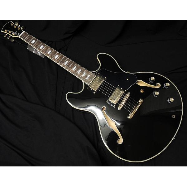 Sire Larry Carlton H7 BK サイアー ラリーカールトン セミアコ 335