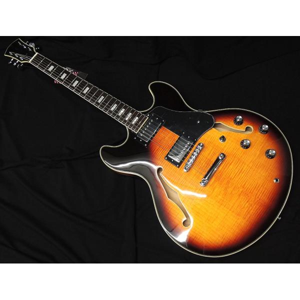 Sire Larry Carlton H7 VS サイアー ラリーカールトン サンバースト