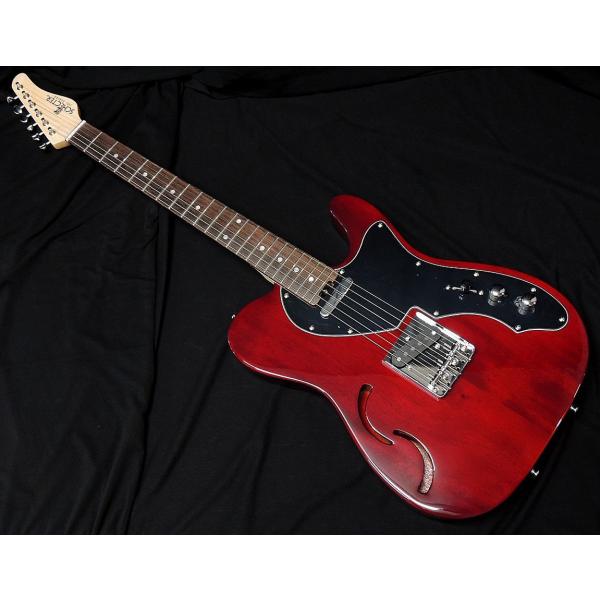 SCHECTER SCHECTER OL-PT-TH CH シェクター テレキャスター シンライン