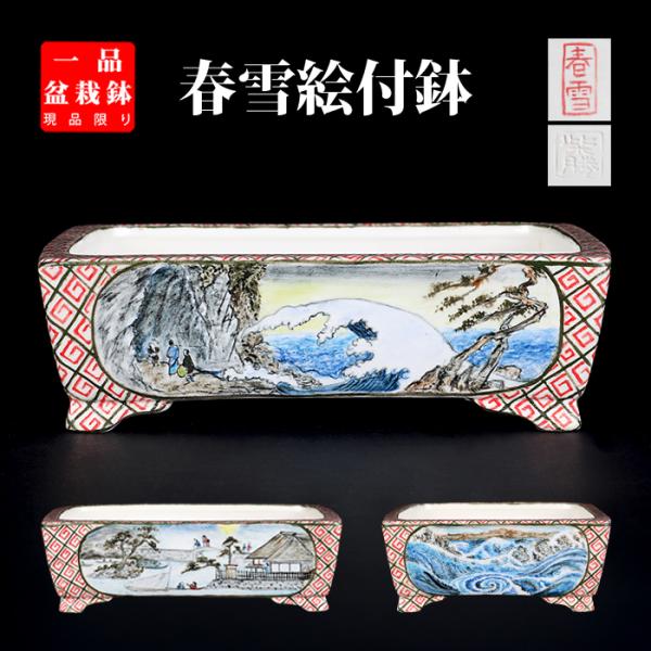 盆栽鉢 春雪色絵長方鉢 植木鉢 絵付 シュンセツ 磁器 5号 15cm 小品