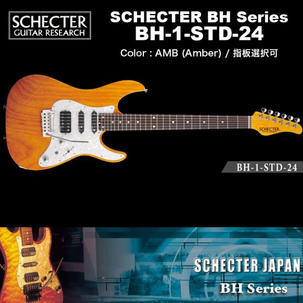 SCHECTER シェクター SCHECTER JAPAN / BH-1-STD-24 AMB アンバー 指板